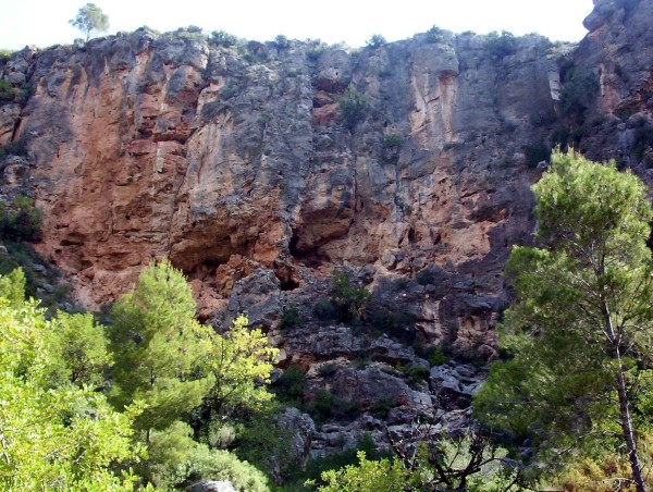 Pulsar para ver la imagen original